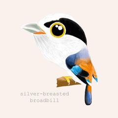 Bird cartoon, Silver-breasted broadbill paintting.