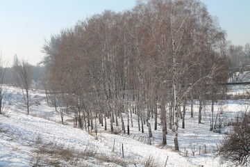  Birch Grove