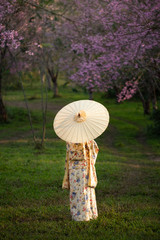 Beautiful Chinese young woman wearing red traditional cheongsam in cherry blossoms garden