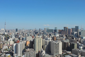 東京の風景　スカイツリーと東京タワー