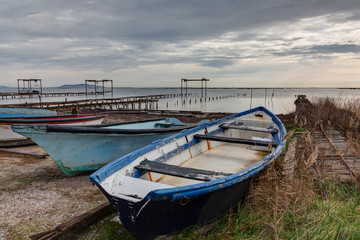 Au bord de l'etang de Thau - Marseillan en Occitanie - Herault