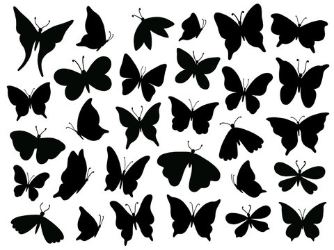 Papillon silhouette. Mariposa butterfly wing, moth wings silhouettes and spring flower butterflies isolated vector illustration set