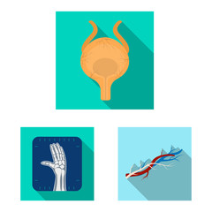 Isolated object of body and human symbol. Collection of body and medical vector icon for stock.