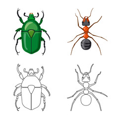 Vector design of insect and fly sign. Set of insect and element vector icon for stock.