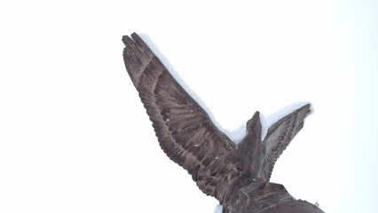 White Eagle