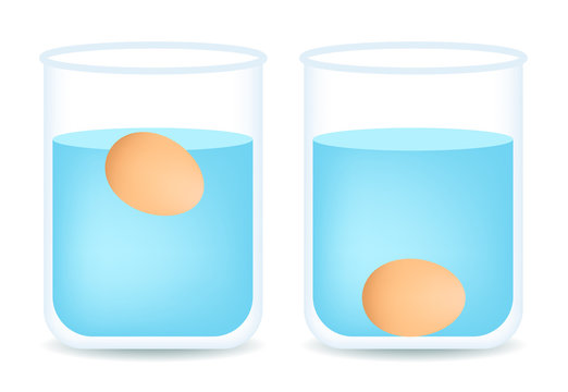 Egg Floating Test In Water Vector