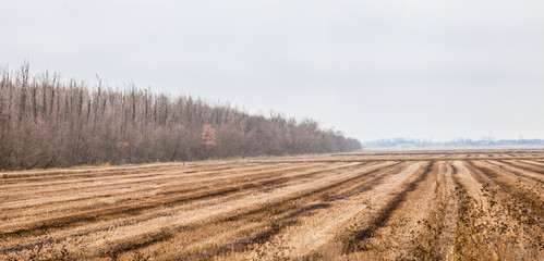 plowed field in autumn