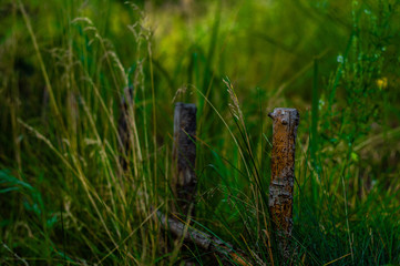 wooden poles in the grass