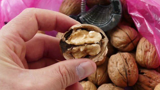 There's a man in the hands of walnuts, dry shelled walnuts, Hand holding a walnut, dry shelled walnuts,