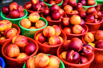 fresh nectarines in baskets