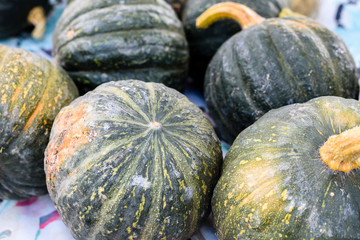 pumpkins on the market