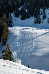 Spuren auf dem Winterwanderweg: Schneeschuhläufer, Skitourengänger und Winterwanderer