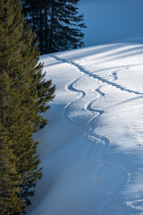 Wintersport, abseits der Piste - Spuren im Schnee