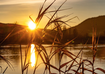 Obraz premium Sonnenaufgang am See