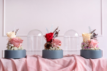 Long-lasting roses in a glass dome © SianStock