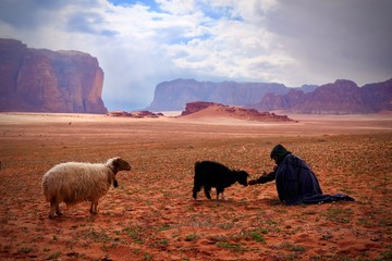 Instant de vie bédouine dans le désert du Wadi Rum, Jordanie