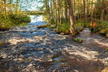 Flooding river in the forest