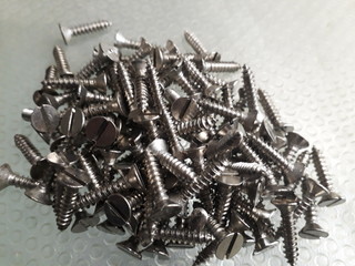 Stainless Steel Screw