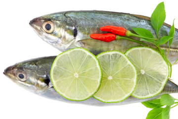 Fresh fish with lemon and leaf isolated on white background,concept cooking background
