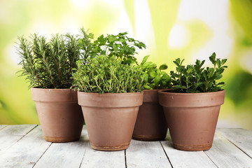 Fototapeta premium Homegrown and aromatic herbs in old clay pots