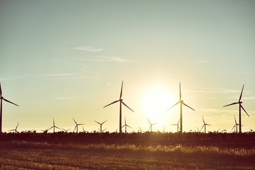 Parque eólico al atardecer