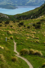 Fototapeta na wymiar Foot path leading down into valley and bay in distance surrounded with green and tall grass