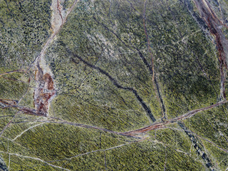 Marble texture, Bidasar Green, Serpentinite.