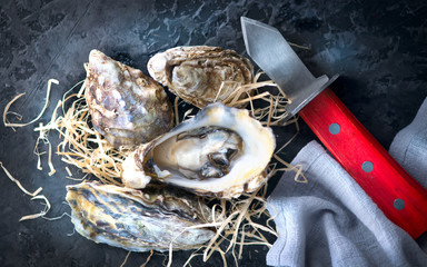 Oyster. Fresh oysters closeup with knife on dark background. Oyster dinner in restaurant. Gourmet food