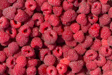 Background from fresh ripe red raspberry berries. Close-up, top view. Flat lay.