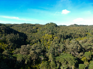 Fototapeta na wymiar Aerial view of forest in a mountain. Drone shot. Sintra Portugal