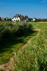 Fototapeta na wymiar rural reed house on isle of Hiddensee
