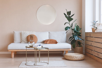 Living room nterior with sofa, mirror and ficus