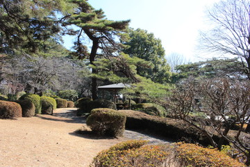 大宮公園の日本庭園