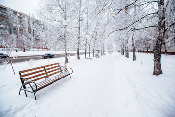 winter city walkway with benches