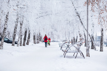 winter city walkway with benches