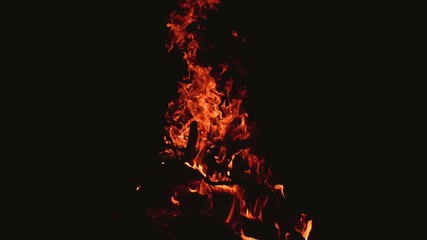 Brightly burning branches of trees in the fire at night
