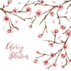 Watercolor illustration,Cherry blossom,spring flowers, petals, buds, twigs,handmade,card for you
