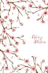 Watercolor illustration,Cherry blossom,spring flowers, petals, buds, twigs,card for you,handmade