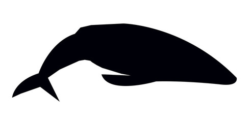 whale silhouette