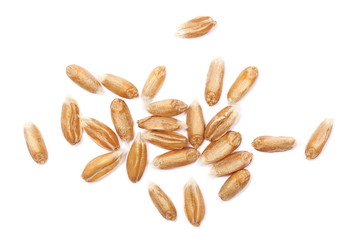 Macro spelt grain isolated on white background, top view