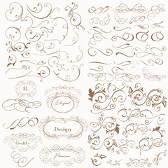 Huge set of vector flourishes for design