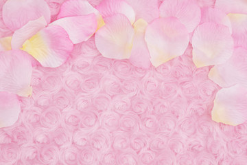Spring background with a flower petals on pale pink rose plush fabric