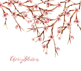 Cherry blossom,Watercolor spring illustration,card for you,handmade, twigs, buds, flowers