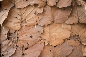 Natural background images created by humans