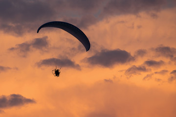 Parachutist falling from the sky in evening sunset dramatic sky. Recreational sport, Paratrooper silhouette on colored sky.