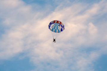 Parachutist falling from the sky in evening sunset dramatic sky. Recreational sport, Paratrooper silhouette on colored sky.