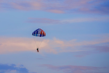 Parachutist falling from the sky in evening sunset dramatic sky. Recreational sport, Paratrooper silhouette on colored sky.