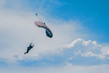 Parachutist falling from the sky in evening sunset dramatic sky. Recreational sport, Paratrooper silhouette on colored sky.