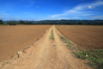Rural way with blue sky