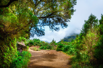25 Fontes levada on Madeira island, Portugal